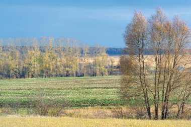 Gün ışığında açık hava manzarası