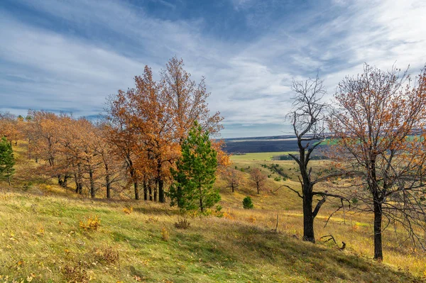 Fotografía Del Paisaje Otoñal Parte Europea Tierra Vista Paisaje Otoñal — Foto de Stock