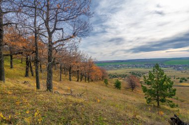 Sonbahar manzara fotoğrafçılığı, Dünya 'nın Avrupa kısmı. Günbatımında akşam gökyüzünün güzel bir gradyanı olan kırsal alan. Yeşil alan ve ufukta köy