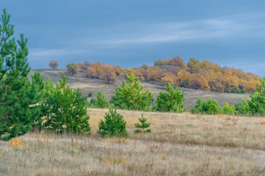 Gün ışığında açık hava manzarası
