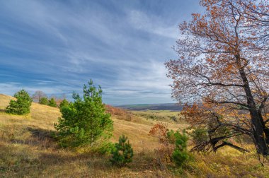 Sonbahar manzara fotoğrafçılığı, Dünya 'nın Avrupa kısmı. Günbatımında akşam gökyüzünün güzel bir gradyanı olan kırsal alan. Yeşil alan ve ufukta köy