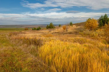 Manzara fotoğrafçılığı. Güzel günbatımı, sonbahar ormanındaki ağaçlar, parlak manzara, sonbahar mevsiminde manzara..