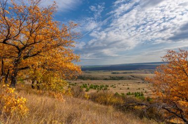Gün ışığında açık hava manzarası