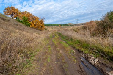 Gün ışığında açık hava manzarası