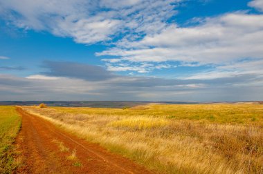 Gün ışığında açık hava manzarası