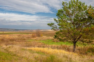 Gün ışığında açık hava manzarası