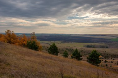 Gün ışığında açık hava manzarası