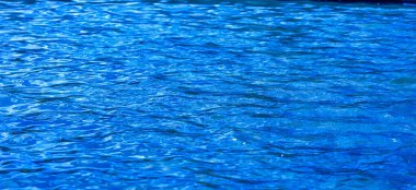 Doku. Geçmişi. şablon. Havuz suyu - hafif esinti, güneş ışığı oyunu ve sudan gelen dalgalar