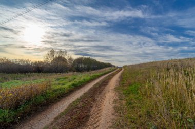 Sonbahar manzara fotoğrafçılığı, Dünya 'nın Avrupa kısmı. Güz ormanı yolu bir bakış bırakır. Orman yolu manzarası. 