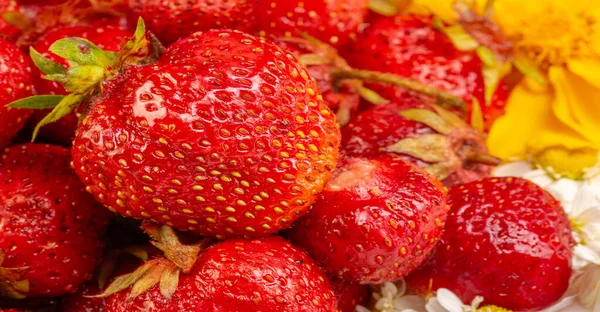 Close Shot Fresh Juicy Berries — Stok Foto