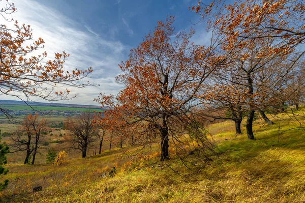 Fotografía Del Paisaje Otoñal Parte Europea Tierra Paisaje Rural Con — Foto de Stock