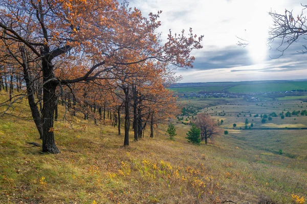 Höstlandskapsfotografering Den Europeiska Delen Jorden Landsbygdslandskap Med Vacker Gradient Kvällshimlen — Stockfoto