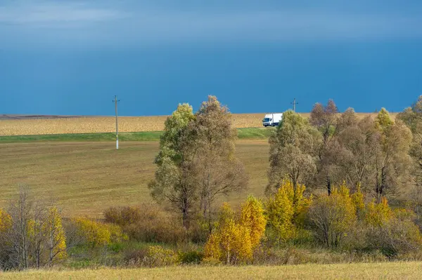 Landskapsfotografering Vacker Solnedgång Träd Höstskogen Ljust Landskap Landskap Höstsäsongen — Stockfoto