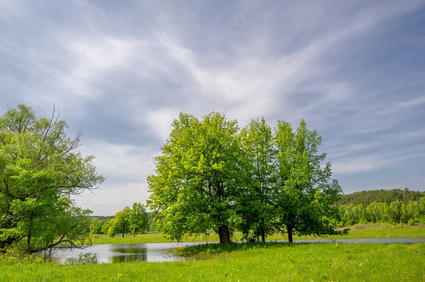 Spring landscape. background with nature, forest river, background for your design, After a long cold winter, it\'s nice to have more hours of sunshine and warmer weather.