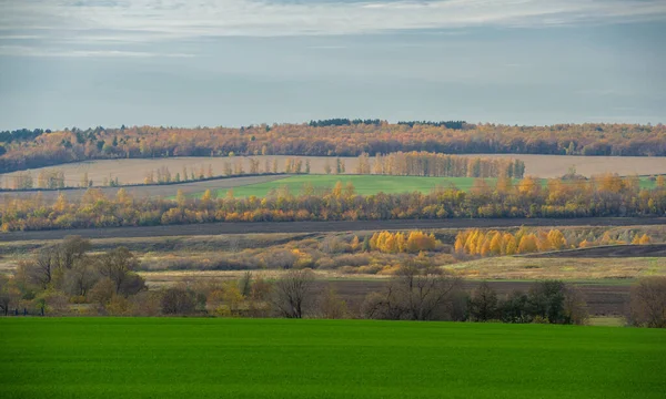 Malebný Pohled Venkovní Scénu Denního Světla — Stock fotografie