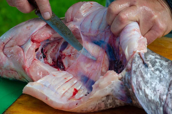 Het Slachten Van Meervallen Koken Zoetwatervissen Zeevissen Met Barbelen Die — Stockfoto
