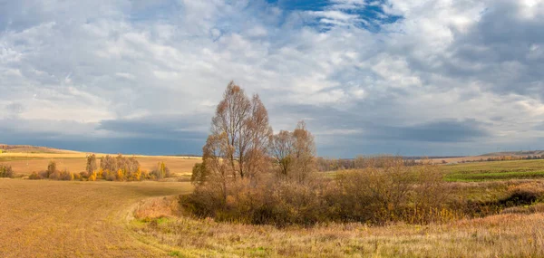 Höstlandskapsfotografering Den Europeiska Delen Marken Åkrar Ängar Lundar Höstgula Toner — Stockfoto