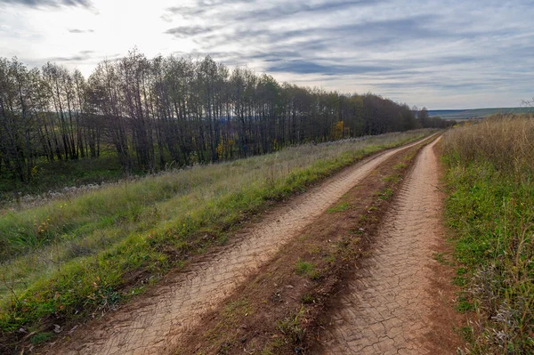 Autumn Landscape Photography European Part Earth Autumn Forest Road Leaves — Stock Photo, Image