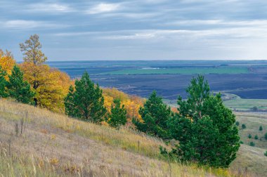 Gün ışığında açık hava manzarası