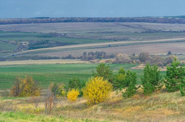 Gün ışığında açık hava manzarası