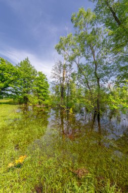 Gün ışığında açık hava manzarası