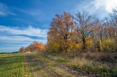 Sonbahar manzara fotoğrafçılığı, resim manzarası