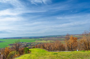 Sonbahar manzara fotoğrafçılığı, Dünya 'nın Avrupa kısmı. Sonbahar, sonbahar parkında ağaçlarda sallanan parlak yapraklar. Güzel doğa manzarası arka planı