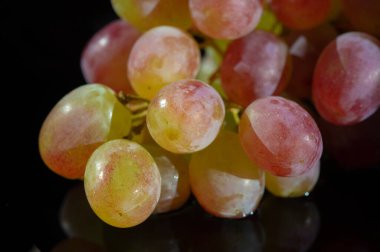 Taze üzümler, lezzetli meyveler.