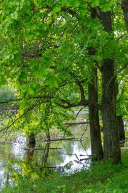 Gün ışığında açık hava manzarası