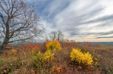 Sonbahar manzara fotoğrafçılığı, resim manzarası
