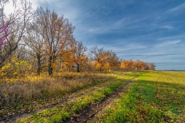 Sonbahar manzara fotoğrafçılığı, Dünya 'nın Avrupa kısmı. Huş ağacı, meşe, ıhlamur, akçaağaç, çok renkli sarı turuncu-kırmızı yapraklar. Mavi gökyüzü kabarık beyaz bulutlarla.