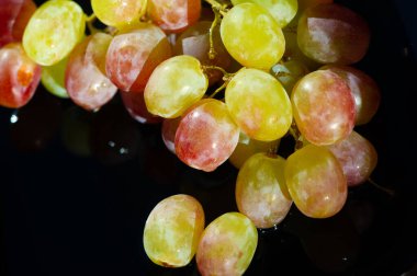 Taze üzümler, lezzetli meyveler.