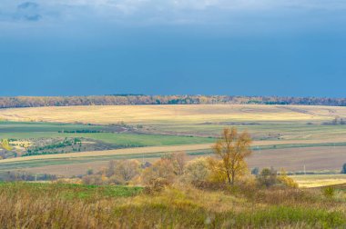 Gün ışığında açık hava manzarası