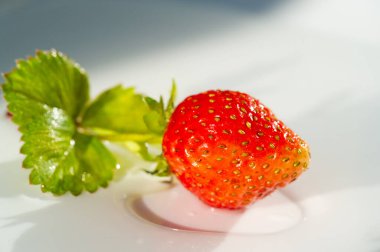 Taze ve sulu böğürtlen yakın çekim