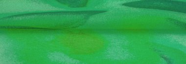 Doku, Desen. Soyut yeşil desenli pürüzsüz yeşil kumaş dokusu. Lüks soyut bir arka plan. Lüks Noel geçmişi. Kumaş, narin.