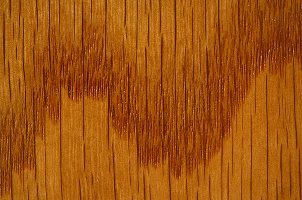 Solid Oak Ash Varnished Oak Ash Boards Beautiful Lacquered Panels — Stock Photo, Image