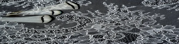 Lace Fabric Texture Close Shot — Stock Photo, Image