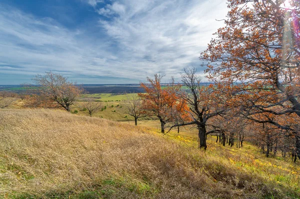 Autumn Landscape Photography Picturesque View — Stock Photo, Image