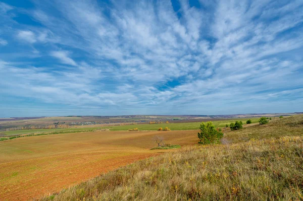Sonbahar manzara fotoğrafçılığı, Dünya 'nın Avrupa kısmı. Huş ağacı, meşe, ıhlamur, akçaağaç, çok renkli sarı turuncu-kırmızı yapraklar. Mavi gökyüzü kabarık beyaz bulutlarla.