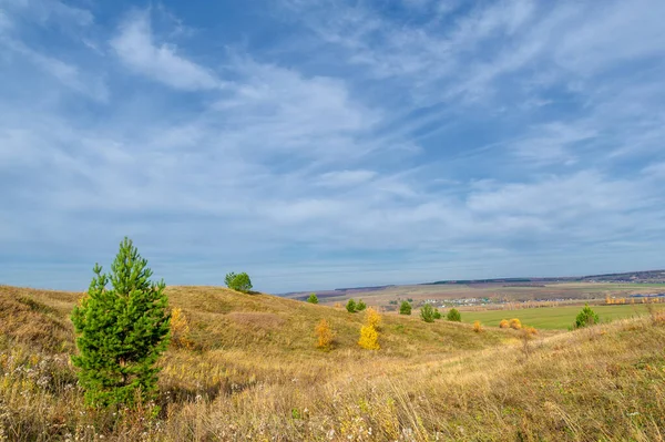 Autumn Landscape Photography European Part Earth Birch Oaks Linden Maples — Stock Photo, Image