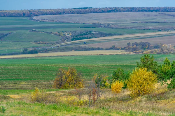 Höstlandskapsfotografering Färgglatt Höstlandskap Landet Vacker Morgon Den Europeiska Delen Jorden — Stockfoto