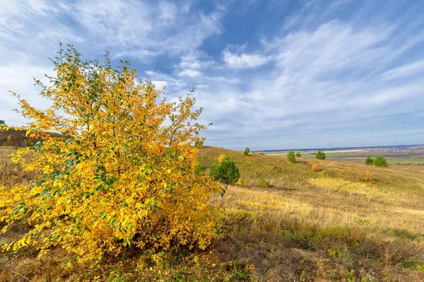 Fotografía Del Paisaje Otoñal Parte Europea Tierra Abedul Robles Tilo — Foto de Stock