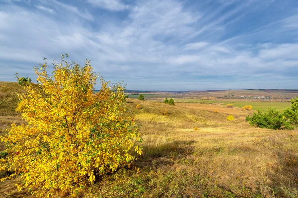 Fotografía Del Paisaje Otoñal Parte Europea Tierra Abedul Robles Tilo — Foto de Stock