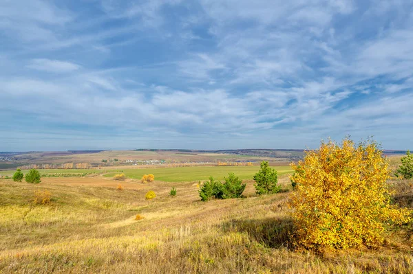 Fotografía Del Paisaje Otoñal Parte Europea Tierra Abedul Robles Tilo — Foto de Stock