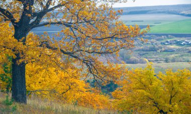 Gün ışığında açık hava manzarası