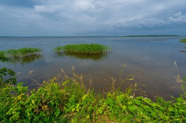 Gün ışığında güzel manzaranın manzarası