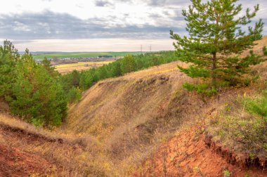 Gün ışığında açık hava manzarası