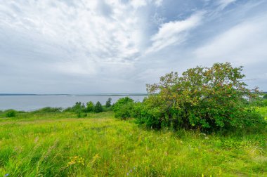 Gün ışığında güzel manzaranın manzarası