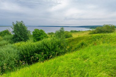 Gün ışığında güzel manzaranın manzarası