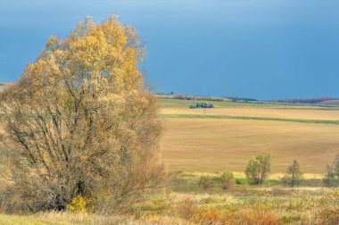 Gün ışığında açık hava manzarası